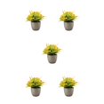 thumbnail image 2 of Decodeary Green Eco-friendly Artificial Money Tree In Pot Long-lasting Durability Realistic Appearance orange rose 5Set, 2 of 6