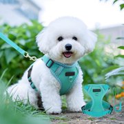 Birdeem Long Dog Leash, Collar and Leash for Dogs, Dog and Cats Leash Sleeveless Style Pet Reflective Breathable Leash Suitable for Outdoor Cats and Dog Walking Leash, Cats and Dogs, Leash for Dogs
