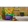 thumbnail image 4 of Miracle-Gro Biologique Terreau d’Empotage 25L, 4 of 6