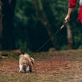 thumbnail image 3 of Dog Leash Dog Chain Walking Dog Artifact Daily Outdoor Walk Hair Children, 3 of 4