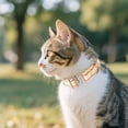 thumbnail image 5 of Reflective Nylon Dog Collars Reinforced Heavy Duty Pet Collar With Metal Quick Release Buckle Adjustable For Medium And Large Dogs（28 36cm）1pc, 5 of 5