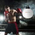 thumbnail image 2 of Goplus 18" 110Lbs Heavy Water Filled Punching Aqua Training Boxing Bag Home Gym Hook, 2 of 10