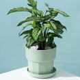 thumbnail image 4 of Dalazy 3 Pieces Roots Control Plant Flower Pot Nordic Style Gallon Succulent Flowerpot Garden Plastic Planter Bedroom Pink/M, 4 of 6