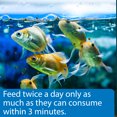 thumbnail image 3 of API Goldfish Pellets, Fish Food, 7 oz, 3 of 8
