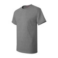 thumbnail image 1 of Hanes Men's Authentic-T T-Shirt - 5250T (Pack Of 5), 1 of 1