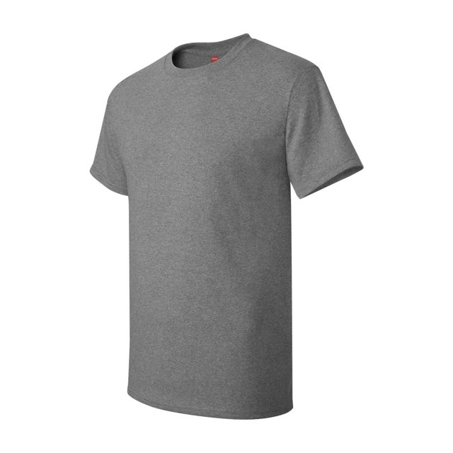 Hanes Men's Authentic-T T-Shirt - 5250T (Pack Of 5)