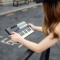 thumbnail image 3 of Worlde Panda mini Portable Mini 25-Key USB Keyboard and Drum Pad MIDI Controller, 3 of 7