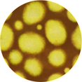 thumbnail image 1 of Ahgly Tapis Rond Lavable en Machine Intérieur Transitionnel Jaune, 8 Pieds Rond, 1 of 7