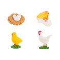 thumbnail image 1 of QIPOPIQ Hen Growth Cycle, Animal Growth Cycle Biological Model , Growth Stage Lifelike Hen Life Cycle Model Set for Kids Education Insect Themed Party Favors, 1 of 7