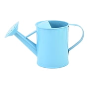 Iron Watering Can for Plants with Long Spout | Wrought Iron Plants Watering Kettle for Indoor Outdoor Garden | Ergonomic Handle Home Gardening Tool