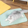 thumbnail image 3 of Coussin pour Animaux de Compagnie Antidérapant Antidérapant Résistant à la Morsure Repos Lavable Anti-Dérapant Matelas pour Animaux de Compagnie Chiot Chat Canapé Tapis pour Chambre à Coucher, 3 of 10