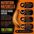 thumbnail image 3 of Exo Terra Aliments Spéciaux pour Reptiles, 34 G, 3 of 11
