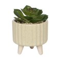 thumbnail image 1 of hometrends Cozby Faux Succulent in Tan Pot, 1 of 5