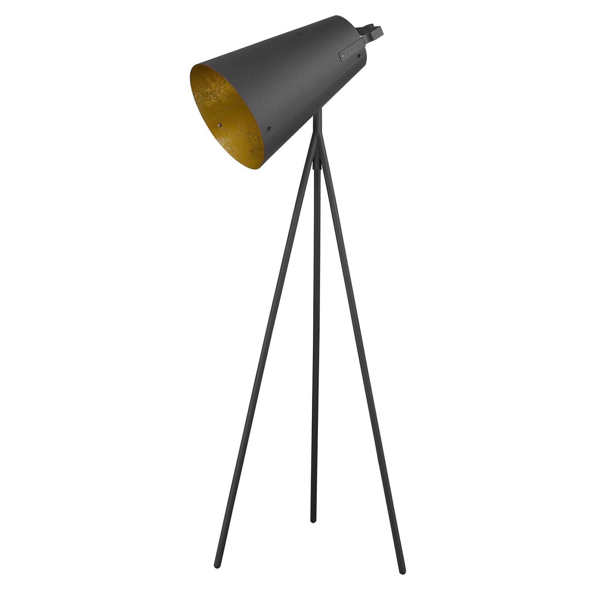homeroots lighting 397933 Faza 1-Light Matte Black Floor Lamp