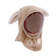 thumbnail image 2 of Milaget Kids Winter Hat Windproof Balaclava Face Cover for Boys Girls Cycling Skiing Rabbit Ears Khaki, 2 of 9