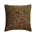 thumbnail image 1 of The HomeCentric Toss Pillow Covers, Brown Pack of 2, 12x12 inch (30x30 cm) Pillow Covers, Linen Sequins & Embroidery Throw Pillows For Sofa, Abstract Pattern Modern Style Easter - Brown Dazzled, 1 of 3