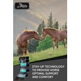 thumbnail image 5 of Kensington Natural Horse Fly Boots - Fleece Trimmed - Stay-Up Technology - Protection from Insect Bites and UV Rays - Sold in Pairs (2 Boots) - Medium - Tan, 5 of 5