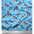 thumbnail image 1 of Soimoi Blue Cotton Duck Fabric Rufous Flycatcher Bird Fabric Prints By Yard 58 Inch Wide, 1 of 3