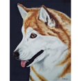 thumbnail image 1 of Carolines Treasures AMB1043CHF Siberian Husky Drapeau en Toile Taille Maison, 1 of 4