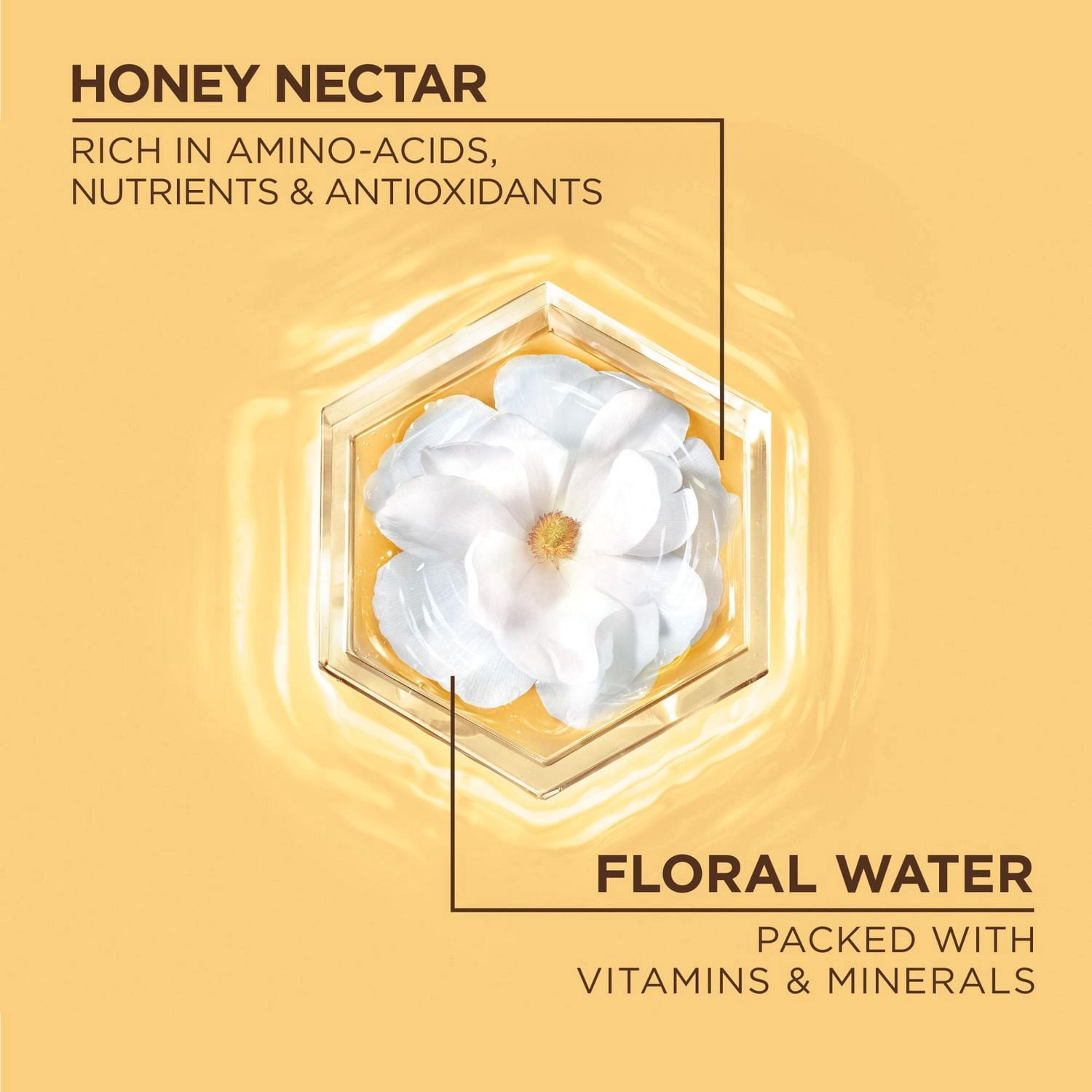 Garnier Whole Blends Miel et Eau Florale Revitalisant Réparateur d'Hydratation, pour Cheveux et Cuir Chevelu Secs
