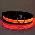 thumbnail image 1 of 2022 Dernière Sécurité LED Collier de Chien – USB Rechargeable avec Résistant à l'Eau Clignotant Lumière Orange, 1 of 6