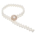 thumbnail image 1 of MasteelfCA 2pcs Metal Pearl Decoration Curtain Tieback Simple Strapping Elastic Belts, 1 of 7