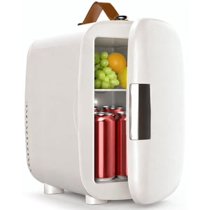 FANSEXPERT Cosmetic Fridge, Portable Mini Fridge for Skincare Food Drinks, 4L/6 Can Electric Plug In Cooler & Warmer, AC/DC Skincare Refrigerator for Bedroom Office Car