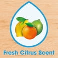 thumbnail image 4 of Pledge Nettoyant Tout Usage Multi-Surfaces, Parfum d'Agrumes Frais, 750ml, 4 of 5