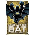 thumbnail image 4 of DC Comics - Batman - 80e anniversaire, 4 of 4