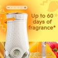 thumbnail image 3 of Glade PlugIns® Air Freshener Oil Refill, Mighty Mango™, 3 of 7