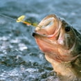 thumbnail image 4 of Hearth & Gear Rotating Hand Crank And Feather Hook Set A Fishing Sensation To Maximize Your Catch! Mooching Rig Ice Hub Terminal Tackle Drop Shot Candied Peel for Sunfish Smelt Beads Saltwater Pocket, 4 of 7