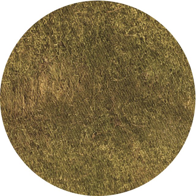 Ahgly Company Machine Washable Indoor Round Transitional Dark Golden Rod Brown Area Rugs, 8' Round