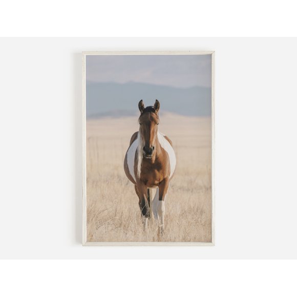 Wildlife Wall Art Western Country Rustic Print Buffalo Bull Elk Cowboy Horse Yellowstone Bison Canvas Painting Home Decor50 x 70 cm, unframed,05