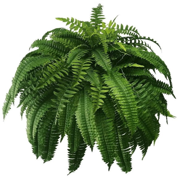 Staron 6PCS Artificial Ferns for Outdoors Large, Artificial Boston Fern Fake Ferns for Office Living Room Decor, Artificial Plants Outdoor