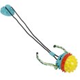 thumbnail image 1 of Chew Toy, TPR Material Large Ball Design Odorless Multifunction Teeth Grinding Pet Teeth Cleaning Toy With Suction Cup A Smoothly Floor Sticker For Pet Dog Lake Blue, 1 of 8