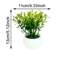 thumbnail image 3 of SIfdSeng Get it Fast 3 Mini Indoor Green Small Bonsai Potted Potted Green Home Decoration, 3 of 9
