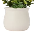 thumbnail image 5 of Anko Artificial Eucalyptus in Pot, 5 of 5
