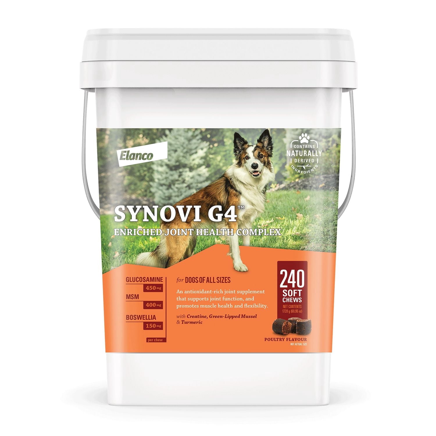 Synovi G4 supplément articulaire à mâcher pour chiens de tous âges, tailles et races