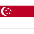 thumbnail image 1 of Annin Flagmakers 197399 Drapeau de Singapour Nyl-Glo 5 Pi X 8 Pi, 1 of 1