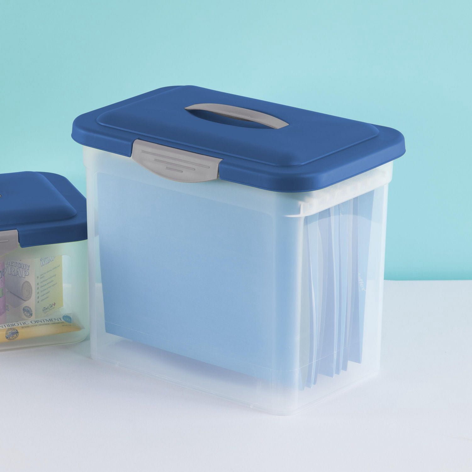 Grand contenant d’entreposage ShowOffs de Sterilite Bleu