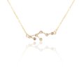 thumbnail image 2 of Ins Constellations Theme Friendship Necklace Rhinestone Comfortable Delicate with Display Card Pendant for Lover Festival Gifts Leo gold, 2 of 6