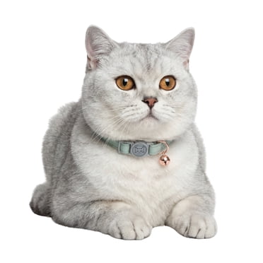 One Paw, Vegan Leather Safety Cat Collar, Breakaway Buckle, for Cats