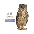 thumbnail image 1 of Fake Owl Decoration Owl to Frighten Birds for Garden Decor Windows Rooftops B, 1 of 9