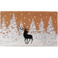 thumbnail image 1 of Coir Doormat, 1 of 4