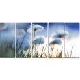 thumbnail image 2 of Belles Fleurs Blanches Polaires - Impression d'Art Floral sur Toile, 2 of 3