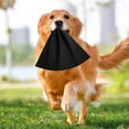 thumbnail image 3 of Training Rag Leather High Toughness For Large With Interactive Play Tug Of War Game For Puppy Prey Drive Grip, 3 of 4