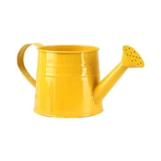 Heavy Duty Metal Watering Can,0.26 Gallon (1L) Galvanized Steel Plant Watering Can for Indoor & Outdoor Use, Rust-Resistant Tinplate Sprinkling Can with Long Spout for Flowers, Gardens & Houseplants