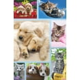 thumbnail image 1 of Keith Kimberlin - Collage de chiots et de chatons, 1 of 4