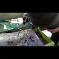 thumbnail image 5 of 1 Set Welding Machine, 110V Handheld Welder With IGBT Inverter, 6 Variable Current, 5 of 5