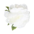 thumbnail image 2 of Enola Peonies in Ceramic Pot, 2 of 8
